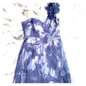 BCBG women’s dress size 12